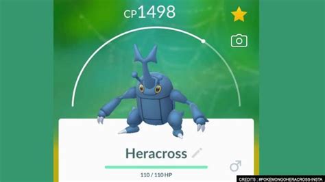 heracross weakness|heracross how to beat in pokemon go.